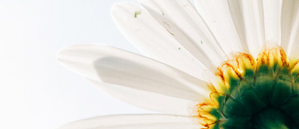 �й�������(bw������ķ��)���޹�˾-Official website