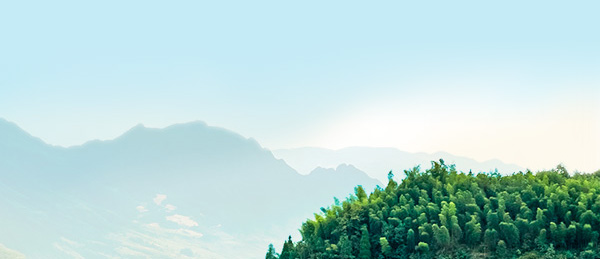 �й�������(bw������ķ��)���޹�˾-Official website