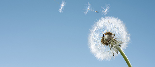 �й�������(bw������ķ��)���޹�˾-Official website