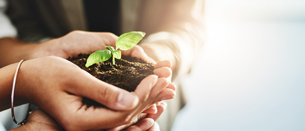 �й�������(bw������ķ��)���޹�˾-Official website